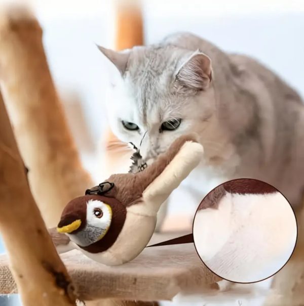پرنده زنده پت