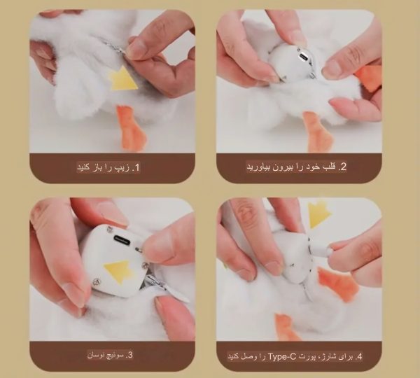 اردک زنده پت